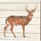 Northern Wild by James Wiens 14" x 14" Canvas Wall Art (Set of 2)